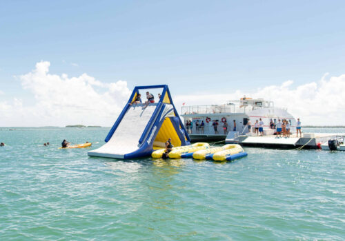 DO-IT-ALL-PARASAILING
